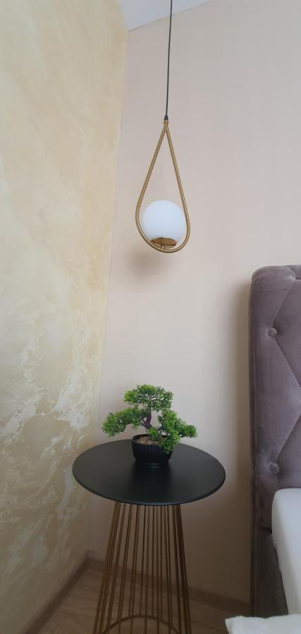 Apartment Alios Lux Μπρασόβ Εξωτερικό φωτογραφία